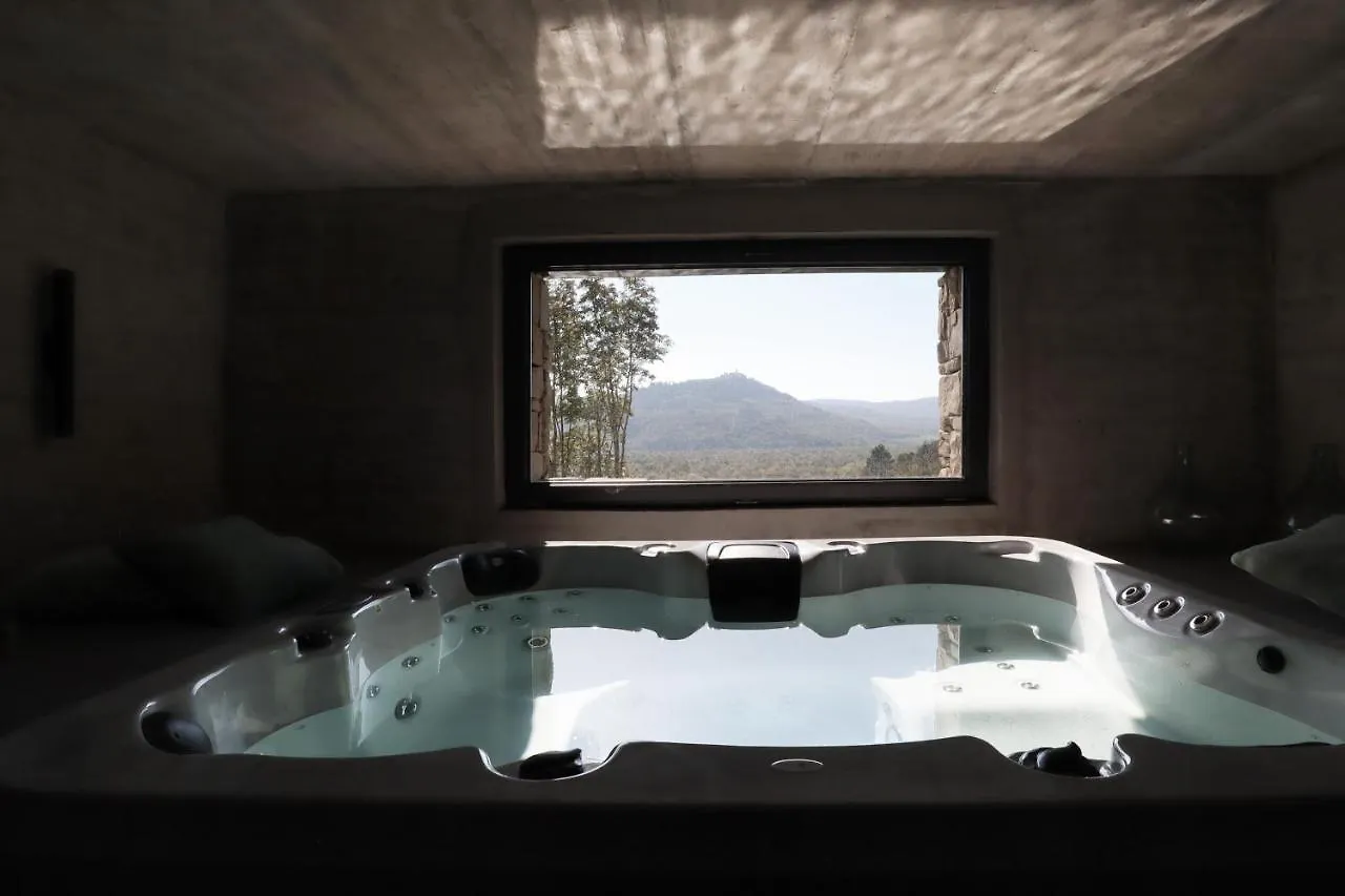 Villa Terra Motovun
